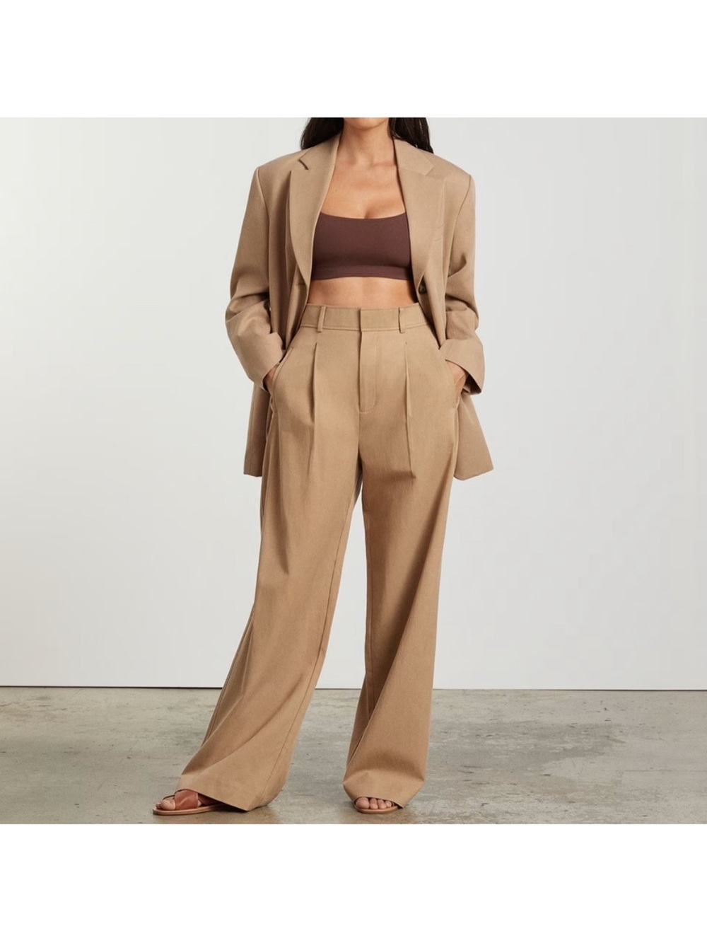 Everlane Way High Drape Pant (Draper Pant), size 2R, Ash Brown